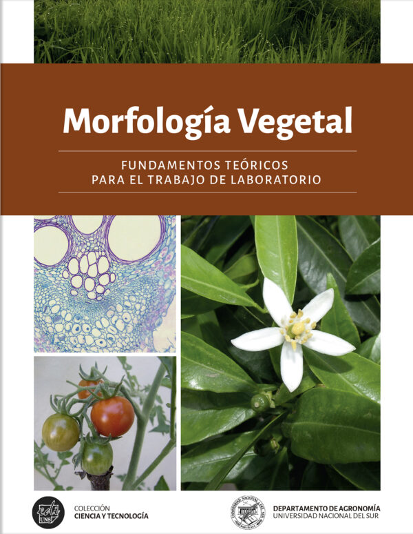 TAPA MORFOLOGIA 2023