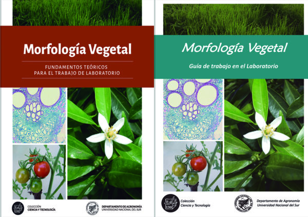 Morfología Vegetal (JUEGO COMPLETO)